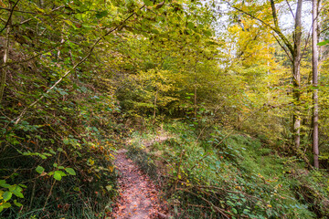 Fantastic autumn hike along the Aachtobel to the Hohenbodman observation tower