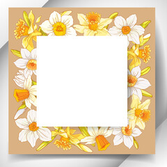 White rectangular frame on a background of pale yellow and white flowers of a daffodil. Design element for banners, cards, flyers.
