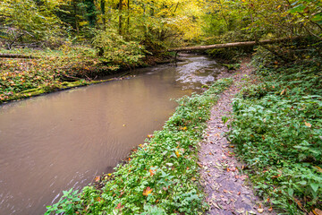 Fantastic autumn hike along the Aachtobel to the Hohenbodman observation tower