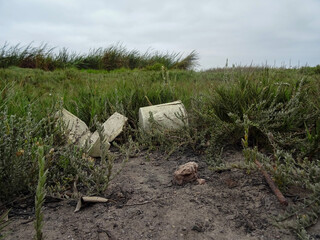 Basura en Humedales de San Andrés