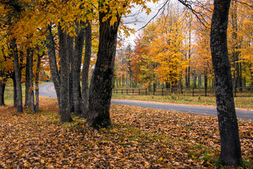 Fall Colors Road Michigan