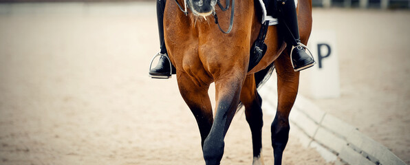 Equestrian sport.The leg of the rider in the stirrup, riding on a red horse.