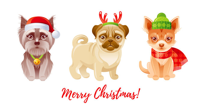 Dogs Christmas vector. Cute pet with scarf, Santa hat, reindeer horn. Holiday animals. Happy winter cartoon illustration. Merry Xmas greeting card. Puppy costume character. Yorkie, pug, chihuahua icon