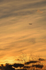 夕焼け空と機影