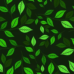 Papier peint Vert Modèle sans couture botanique avec des feuilles. Imprimé lumineux d& 39 été ou de printemps à toutes fins. Illustration colorée dessinée à la main. Motif naturel vintage. Fond organique.