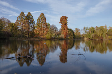 Outdoor sunny scenery of silence reflected pond surrounded with tranquil, shady and natural atmosphere and background of trees at Zoo Park in Düsseldorf, Germany during autumn season.