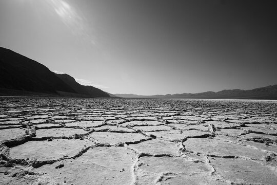 Desert in black and white