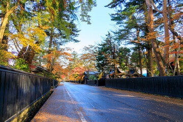 秋田県角館　秋の武家屋敷　紅葉