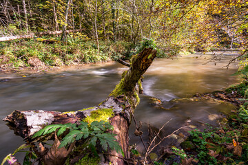 Fantastic autumn hike along the Aachtobel to the Hohenbodman observation tower