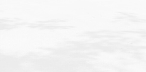Obraz premium Abstract shadows nature. Gray shadows trees leaf on white wall. Concept blurred background.White and Black.Texture shadows 