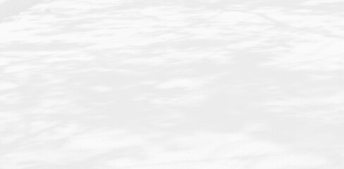 Abstract shadows nature. Gray shadows trees leaf on white wall. Concept blurred background.White and Black.Texture shadows
