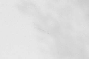 Obraz premium Abstract shadows nature. Gray shadows trees leaf on white wall. Concept blurred background.White and Black.Texture shadows 