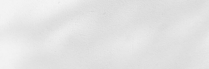 Abstract shadows nature. Gray shadows trees leaf on white wall. Concept blurred background.White...