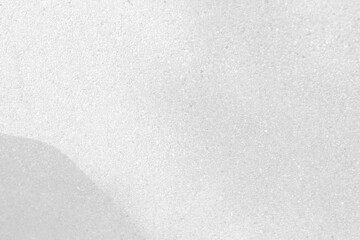 Abstract shadows nature. Gray shadows trees leaf on white wall. Concept blurred background.White and Black.Texture shadows
