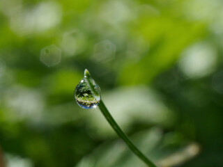 水滴に映り込んだ風景