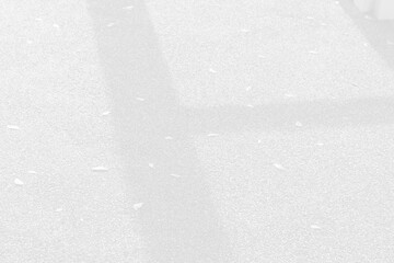 Abstract shadows background lights. Shadows wall  background nature texture. shadows light summer.
