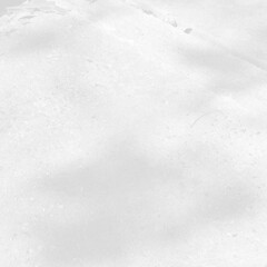 Abstract shadows nature. Gray shadows trees leaf on white wall. Concept blurred background.White and Black.Texture shadows
