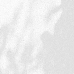 Background and Nature shadows. Rough gray shadows trees leaf on white wall. Abstract shadows nature concept blurred background. White and Black. Texture shadows.
