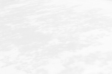 Abstract shadows nature. Gray shadows trees leaf on white wall. Concept blurred background.White and Black.Texture shadows
