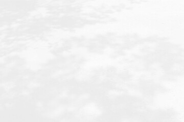Abstract shadows nature. Gray shadows trees leaf on white wall. Concept blurred background.White and Black.Texture shadows
