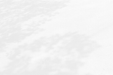 Obraz premium Abstract shadows nature. Gray shadows trees leaf on white wall. Concept blurred background.White and Black.Texture shadows 