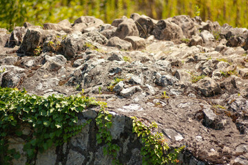 Old semicircular bridge of large cobblestones close-up