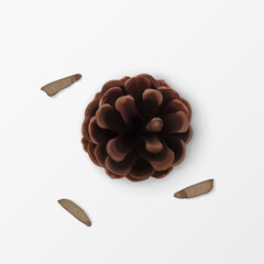Pine Cone with Scattered Seeds. Top view. Realistic 3d Object isolated on white. Greeting Card Design Element. Pinecone Vector Icon, Symbol, Decor. Traditional Seasonal Decoration