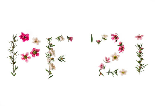 pink and white manuka flowers Pour Feliciter 2021 - Happy New Year 2021 isolated on white background