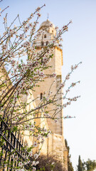 Sites of Pilgrimage from the Holy Lands of Jerusalem