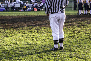 A referee standing on the green grass of a football field.