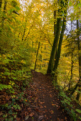 Obraz premium Fantastic autumn hike along the Aachtobel to the Hohenbodman observation tower