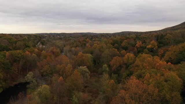 An aerial drone shot of the colorful fall foliage in upstate NY. The camera dolly in over treetops in this picture perfect scene. The beautiful autumn landscape is vibrant under a gray, cloudy sky.