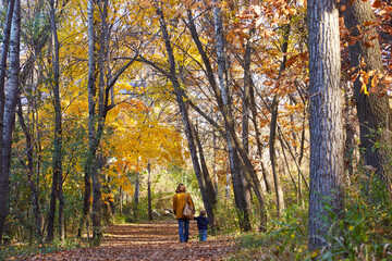 Fototapeta premium Mom and son walking through the forest with trees changing colors and a leaf floor