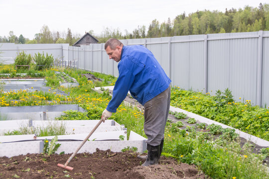 Country of work. At the dacha, a man cultivates the land for planting. 