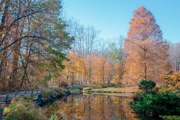 autumn, landscape, lake, nature