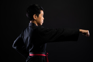 TaeKwonDo Karate teenager athlete kick punch black background isolated