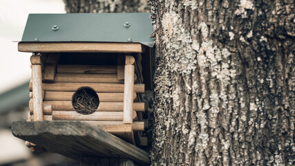 Birdhouse on the tree. Tree house for birds. Log cabin in the autumn forest. Caring for animals.