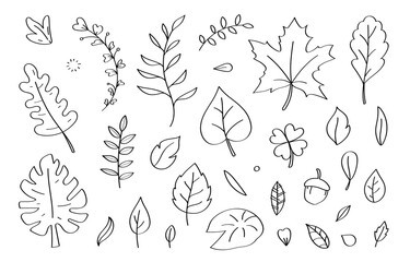 Cute doodle leaf cartoon icons and objects.