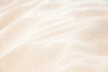 Fototapeta na wymiar 海の砂（Sea sand）