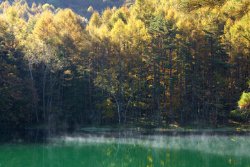秋の紅葉した山の中の湖に蒸気霧が発生