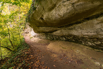 Obraz premium Fantastic autumn hike along the Aachtobel to the Hohenbodman observation tower