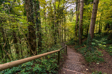 Fantastic autumn hike along the Aachtobel to the Hohenbodman observation tower
