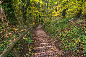 Fantastic autumn hike along the Aachtobel to the Hohenbodman observation tower