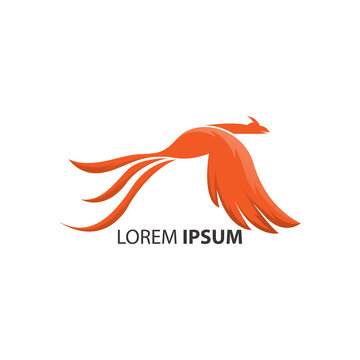 red phoenix bird logo.
company logo