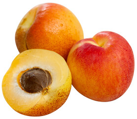 Image of ripe juicy apricots, nobody. Isolated over white background
