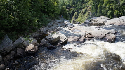 stream in the forest