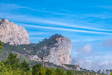 High stone rock and the forest on a hillside in the fog on blue sky background.