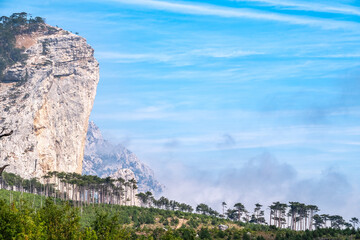 High stone rock in the forest on a hillside in the fog.