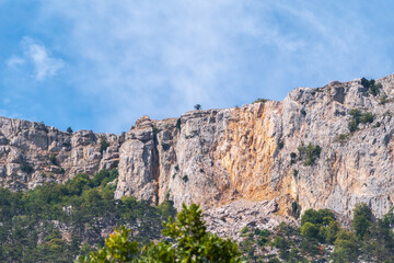 Fototapeta na wymiar High rocky mountains on blue sky background. Green pine forest on the mountainside.