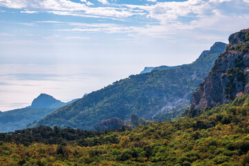Rocky mountain on sea shore with high green trees on slope